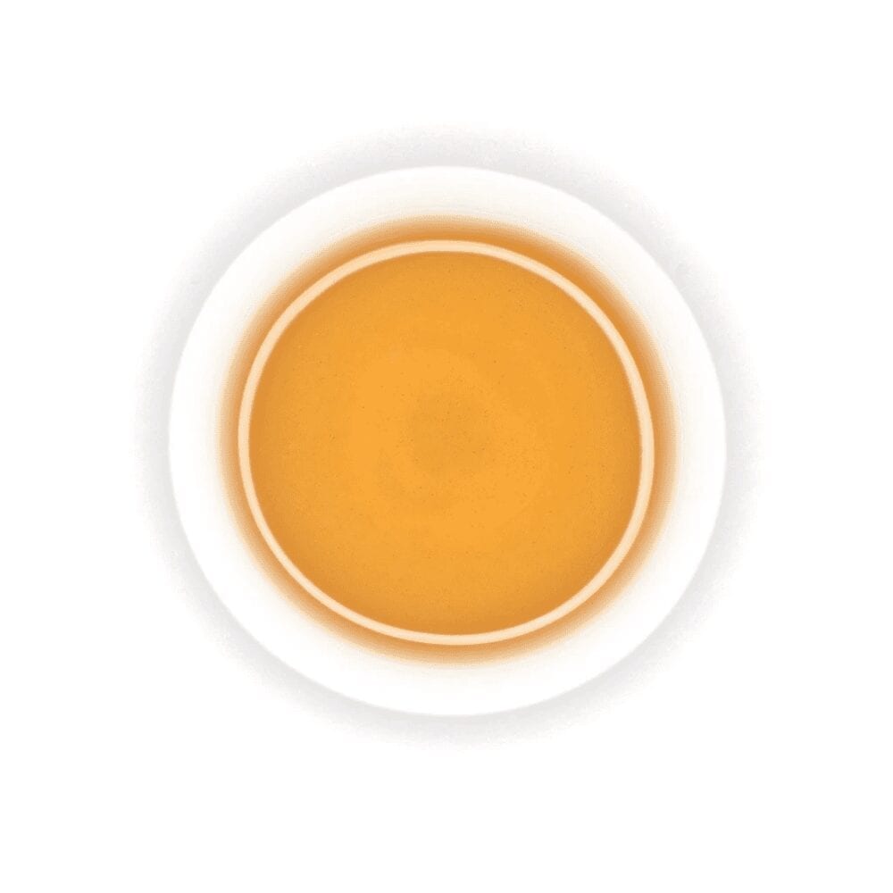 Daily Toast (Hojicha) - N°318 - Image 3